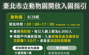 開學在即 北市9/1起鬆綁籃球、排球、手球等運動