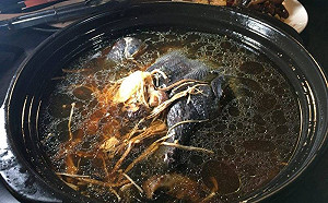 烏骨雞怎煮好吃？專業食客揭3吃法