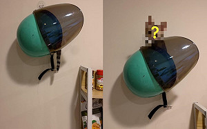 (影)不見貓蹤影奴才快急瘋　牠從安全帽裡探頭：找我嗎？