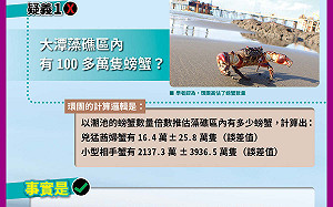 疫情+0藻礁公投升溫 百萬蟹生存權成了新焦點