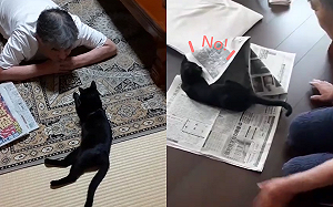 (影)小貓被救後超黏伯伯　連看報紙都「吃醋」：只能看我！