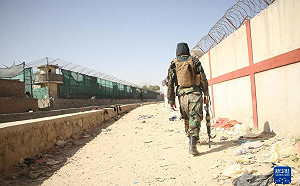 亦敵亦友？俄情報單位指控 美密訓ISIS戰俘成烏克蘭僱傭兵