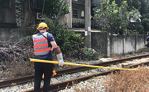 民眾鋸樹倒塌壓到電車線！台鐵新豐＝新竹列車延誤 2860人受影響