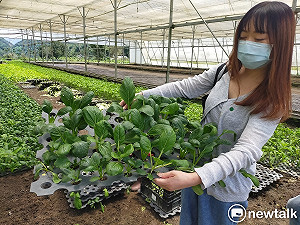 善待土地追求永續農業 神農山莊成有機循環典範農場