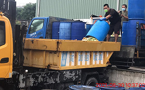 廚餘今起禁入養豬場 陳其邁加碼高市飼料養豬補助