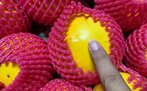 他見渾圓金黃水果超稀奇！內行秒解