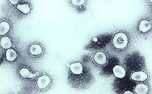 新冠病毒溯源無明確結果！ 拜登：沒有得到答案不罷休