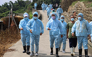 防堵非洲豬瘟！陳吉仲呼籲業者彼此監督：檢舉獎金最高120萬元