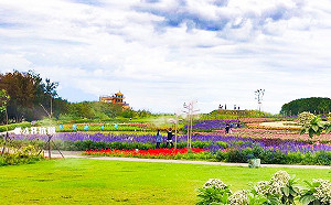 不一樣的美好！來去花蓮米棧社區感受樸實的木雕風華