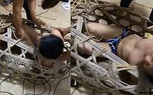 業績未達標準就噴辣椒水、浸豬籠! 過來人驚恐吐露緬北「高薪職業」真象