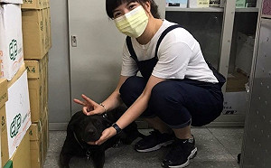 樹林高中收編浪浪ASUS合法居留  新北校園犬達90隻冠全台