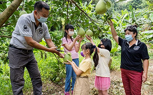 越南新二代柚園享媽媽故鄉味