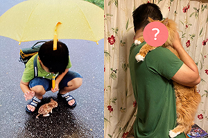 (影)雨中相識　貓咪與男孩10年對比照觸動網友：幸好遇見你！