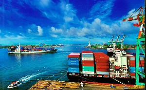 高雄港 65 與 66 號碼頭淪中資？黃國昌怒：抗中保台要「行動」別打嘴砲