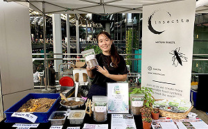 把垃圾轉變成珍稀 新加坡新創公司善用「昆蟲力」