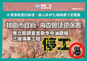 柴山多杯孔珊瑚遭汙泥覆蓋難以存活 藻礁公投推動聯盟：勒令三接海事工程暫停工