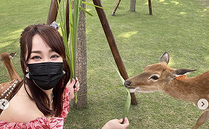餵食梅花鹿火辣身材被看光!「最美空姐」林佩瑤笑:盡量看