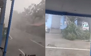 (影)璨樹颱風有多猛?菲北小島實況曝 風強雨驟路樹倒