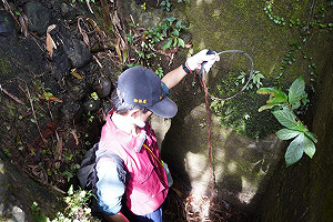新北清山除獸鋏護動物 今年已查獲19組陷阱