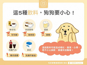 中秋連假與毛寶貝同歡   提醒飼主注意3大飲食禁忌