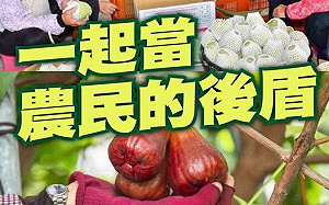 釋迦蓮霧遭禁 賴清德:國際會質疑中國市場誠信