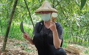 新北美味綠竹筍產期已接近尾聲 再不買只能等明年