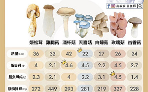 中秋烤肉營養吃起來!營養師:一圖掌握27款熱量低、營養高的蕈菇類