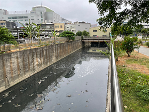 翻轉新北東門溪 揮別惡臭