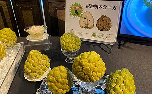 中國禁運危機是轉機？冷凍釋迦2018年早已進軍日本市場