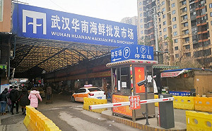 佛奇控中方為求名譽自保消毒華南海鮮市場  中國回應了......
