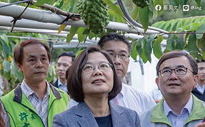 民調：中共禁釋迦蓮霧引台灣人反彈 蔡英文聲望微升