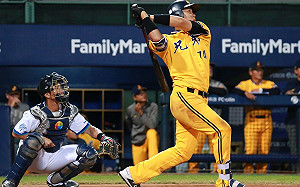 兄弟許基宏：我從來沒有放棄自己