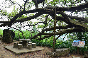 2021台北國際夏季暨秋季聯合旅展 打造新北旅遊新風潮