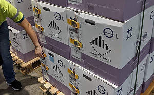 第2批客製化60萬劑BNT疫苗到貨 下週還有