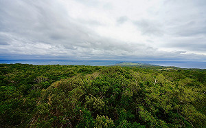 搶攻解封後國旅市場！10/27入住屏東旅宿享千元補助