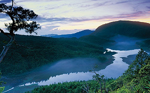 迎接國慶連假！13處國家森林遊樂區半價入園