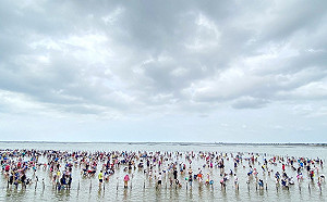 3000名額秒殺！台南七股海鮮節挖文蛤體驗周末登場