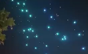 中國連假驚傳意外 河南鄭州燈光表演約10架無人機如「流星」般墜落