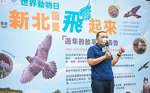 全台首支「遊隼」紀錄片發表會　侯友宜籲天天都是世界動物日