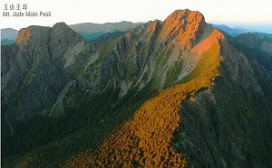 外交部國慶影片出包 柯文哲：廠商、評審、採購人員都要找好一點的