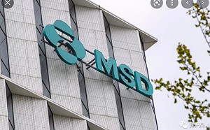 默沙東新藥降低新冠患者住院、死亡率 提前結束三期試驗申請美國EUA