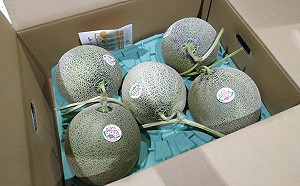 最新邊境檢驗！19項產品不合格：多項水果農藥殘留超標