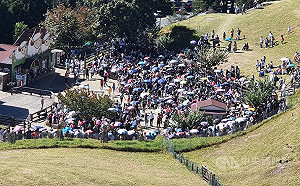 國慶日清境農場逾8千人次入園 創2021年單日最高
