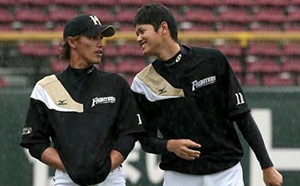 陽岱鋼名列火腿傳奇　與大谷齊名