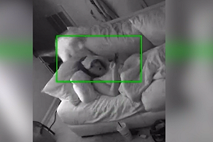 (影)網點評貓奴真實日常：沒有尊重