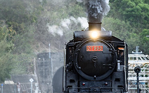 台鐵仲夏寶島號20日開賣「限量3趟次」！蒸汽國王DT668再現風采