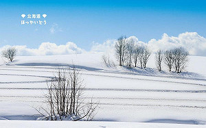 冷空氣強襲東北亞 南韓首爾0度破64年紀錄.日本北海道早17天初雪