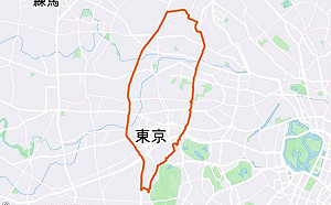 旅日台派發起「走出台灣反惡罷」 盼傳遞力量給陳柏惟