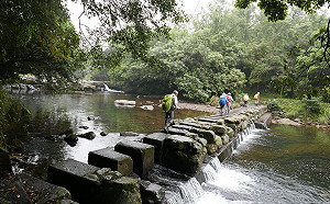 謝金河爆去年跑虎豹潭路線：梳子壩不適合小朋友走