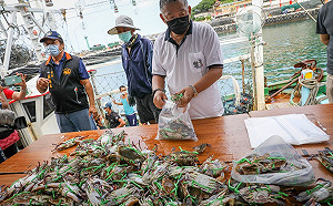 新北萬里蟹產地大優惠 活蟹福袋排隊搶購